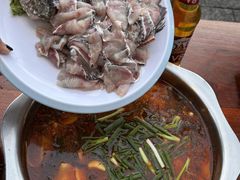 酸萝卜鱼火锅-大理.老字号渝记酸萝卜乌鱼(古城总店)