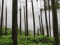 -洛阳白云山景区