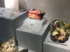 -湖南省地质博物馆