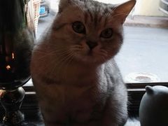 -不舍昼夜咖啡馆