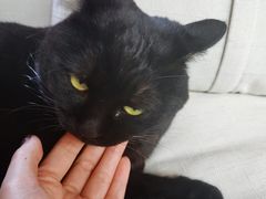 -包装马车·韩国料理·포장마차