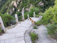 -北京凤凰岭
