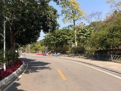 -广东花都湖国家湿地公园