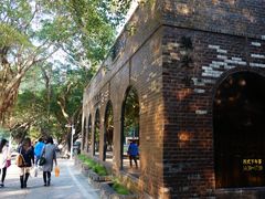 -中山大学学者灵芝(园南路店)