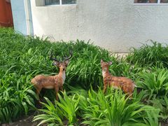 -红黄蓝幼儿园(颐东苑店)