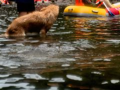 -安吉龙王山峡谷漂流
