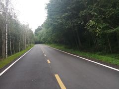 -五营红松林海景区