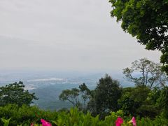 -黄埔油麻山森林公园