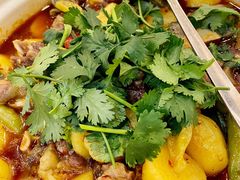 甲鱼-高坎一品甲鱼庄(两河店)