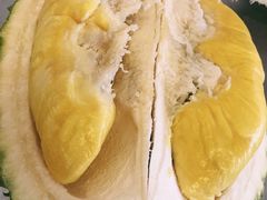 -都念榴莲·城市榴莲