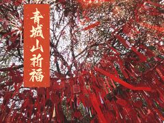 -青城山