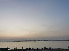 -宝安西湾红树林湿地公园