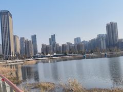 -金沙湖公园