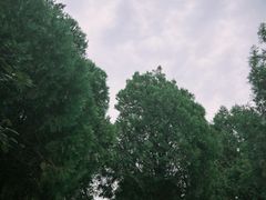 -龙洞风景区-藏龙涧