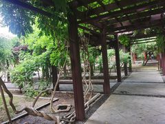 -晋祠公园