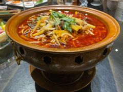 红汤羊杂-蒙料·手把肉(望京店)