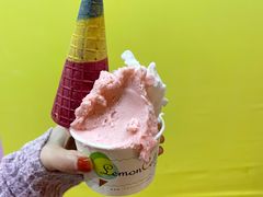 -柠檬车露(卖草地店)