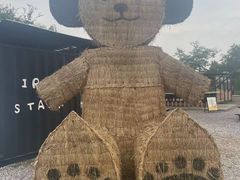 -嘉北郊野公园