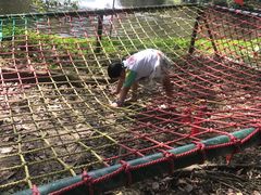 -李小龙乐园(顺德均安店)