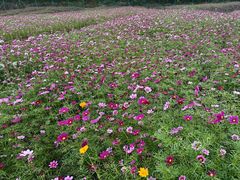 -东钱湖旅游度假区