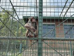 -南京金牛湖风景区