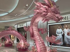 -Dior迪奥(海信广场店)