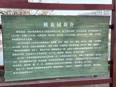 -桃花堤公园