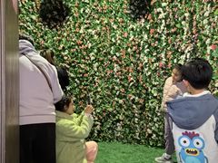 -蓬莱欧乐堡梦幻世界