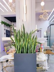 -FUTURE HN男士发型风格设计