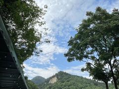 -趣多多宠物公园·宠物训犬学校·宠物寄养