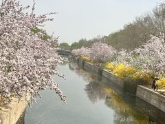 -元大都城垣遗址公园