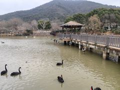 -无锡动物园·太湖欢乐园