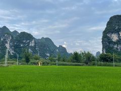-明仕田园