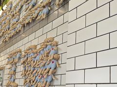 -MT麦如麦立送(五矿live店)