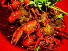 -红辣椒·川菜·火锅(张杨路店)