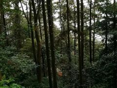 -安溪清水岩