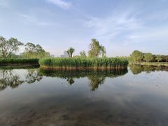 -大兴滨河森林公园