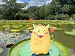 -中国科学院西双版纳热带植物园