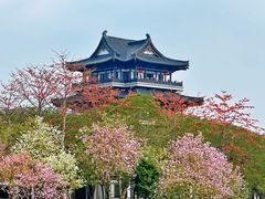 -海珠湖公园