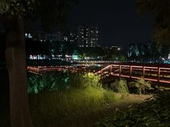 -新江湾城公园