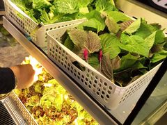 -江南猪肉商会无限续吃(弘大店)