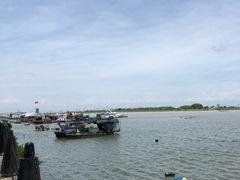 -大湾区中央湿地公园-十九涌
