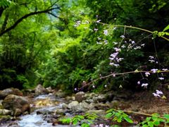 -西岭雪山大飞水景区