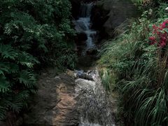 -金海湾滨江公园