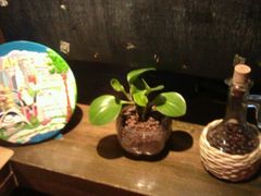 cafe&nbsp;kona-安琳acKONA咖啡(市南店)