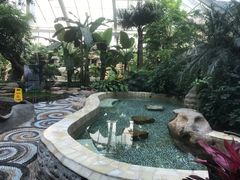 -大东方海鲜酒楼(小武基桥店)