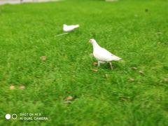 -知味观(湖滨总店)