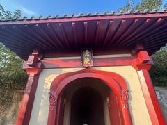 -洛阳古墓博物馆