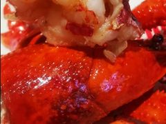 -龙巢盱眙龙虾·牛蛙·烧烤宵夜(八卦岭店)