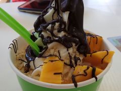 黑巧克力酱芒果杏仁碎-Salud撒露欧洲冻酸奶(798艺术区店)